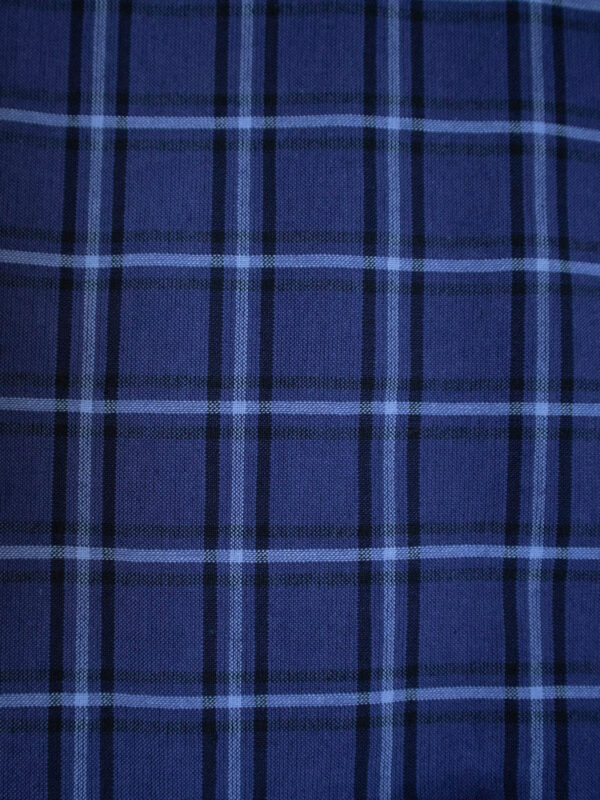 Kavita Dress - Indigo Plaid - Image 4