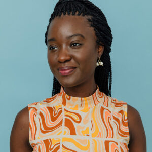 Eve Sleeveless Dress - Sedona Stripe - Image 3