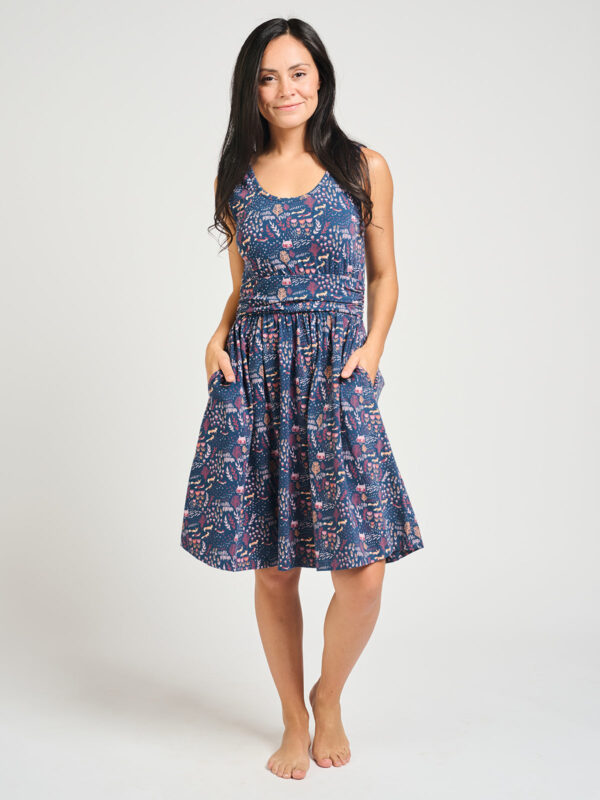 Asheville Dress - Fox Field Blue