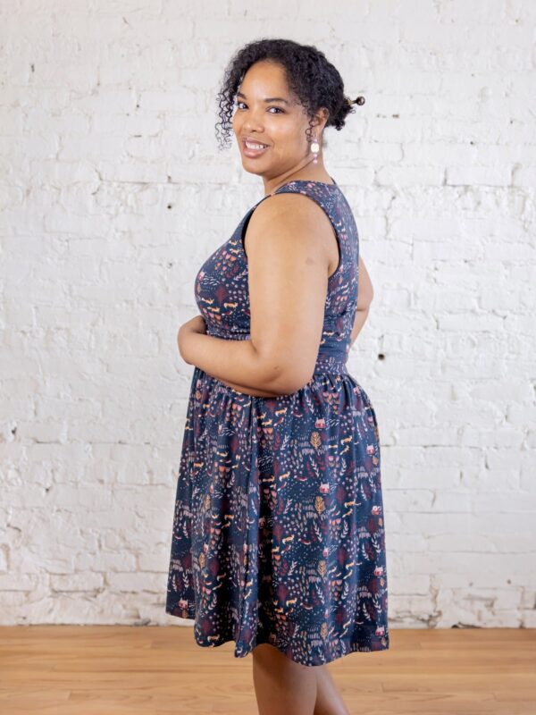 Asheville Plus Size Dress - Fox Field Blue